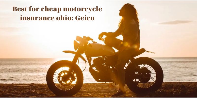 Best for cheap motorcycle insurance ohio: Geico