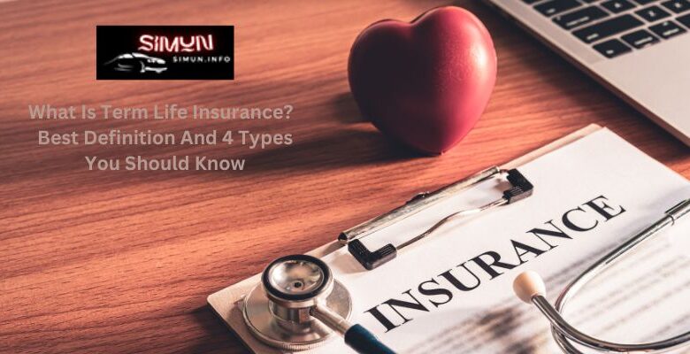 What Is Term Life Insurance? Best Definition And 4 Types You Should Know