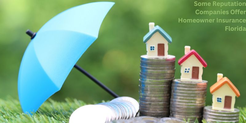 Some Reputation Companies Offer Homeowner Insurance Florida