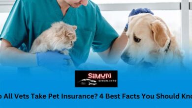 Do All Vets Take Pet Insurance? 4 Best Facts You Should Know