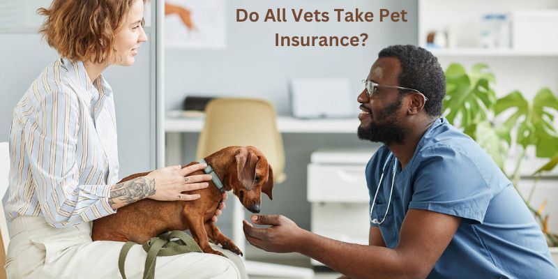 Do All Vets Take Pet Insurance?