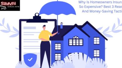 Why Is Homeowners Insurance So Expensive? Best 3 Reasons And Money-Saving Tactics