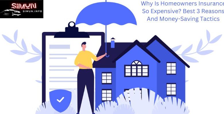 Why Is Homeowners Insurance So Expensive? Best 3 Reasons And Money-Saving Tactics