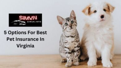5 Options For Best Pet Insurance In Virginia