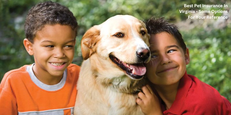 Best Pet Insurance In Virginia - Some Options For Your Reference