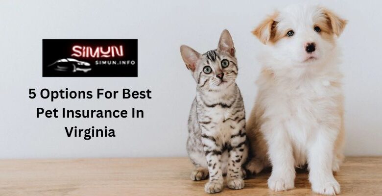 5 Options For Best Pet Insurance In Virginia