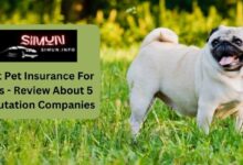 Best Pet Insurance For Pugs - Review About 5 Reputation Companies