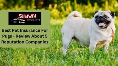 Best Pet Insurance For Pugs - Review About 5 Reputation Companies