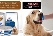 Does Pet Insurance Cover Prescription Food? 3 Best Pet Insurance Companies