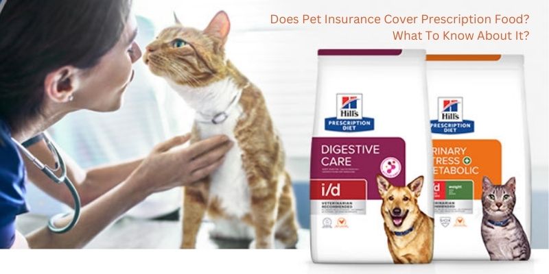 Does Pet Insurance Cover Prescription Food? What To Know About It?
