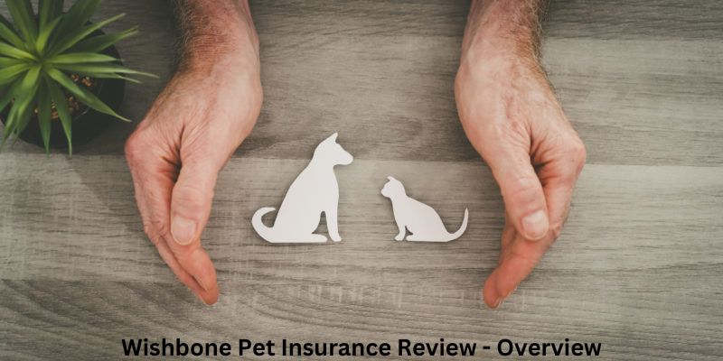 Wishbone Pet Insurance Review - Overview