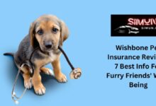 Wishbone Pet Insurance Review - 7 Best Info For Furry Friends' Well-Being