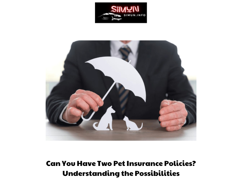 Can You Have Two Pet Insurance Policies Understanding the Possibilities