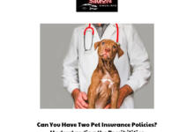 Can You Have Two Pet Insurance Policies Understanding the Possibilities