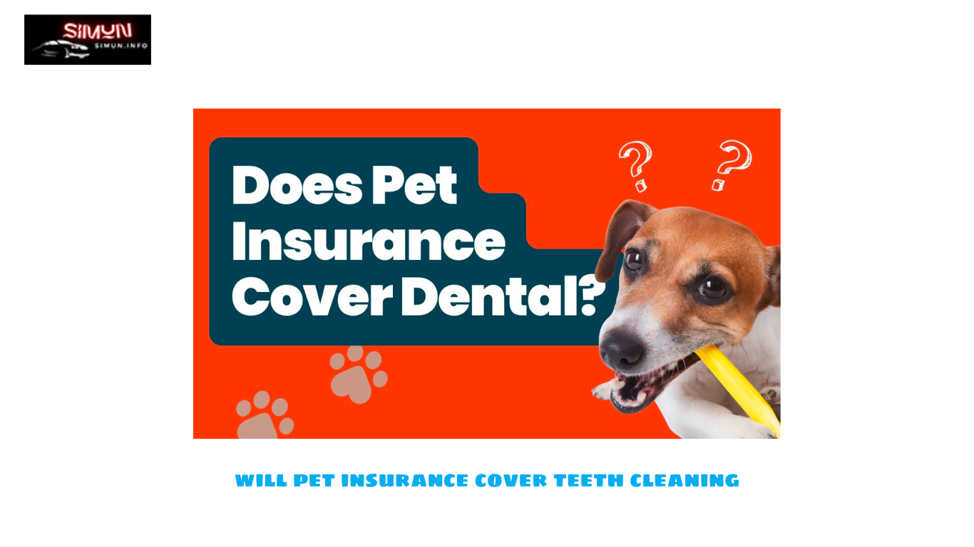 Will Pet Insurance Cover Teeth Cleaning? Exploring Coverage Options