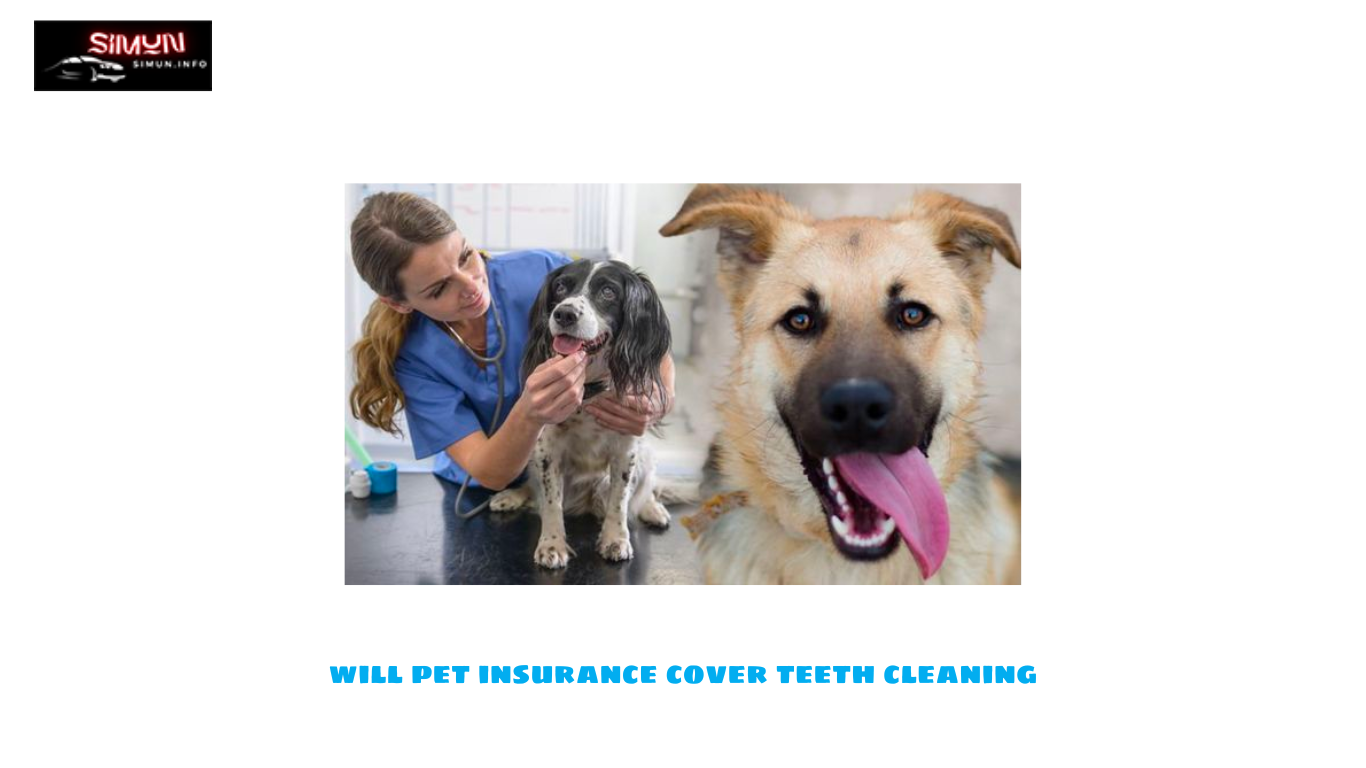 Will Pet Insurance Cover Teeth Cleaning? Exploring Coverage Options