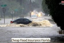 Cheap Flood Insurance Florida