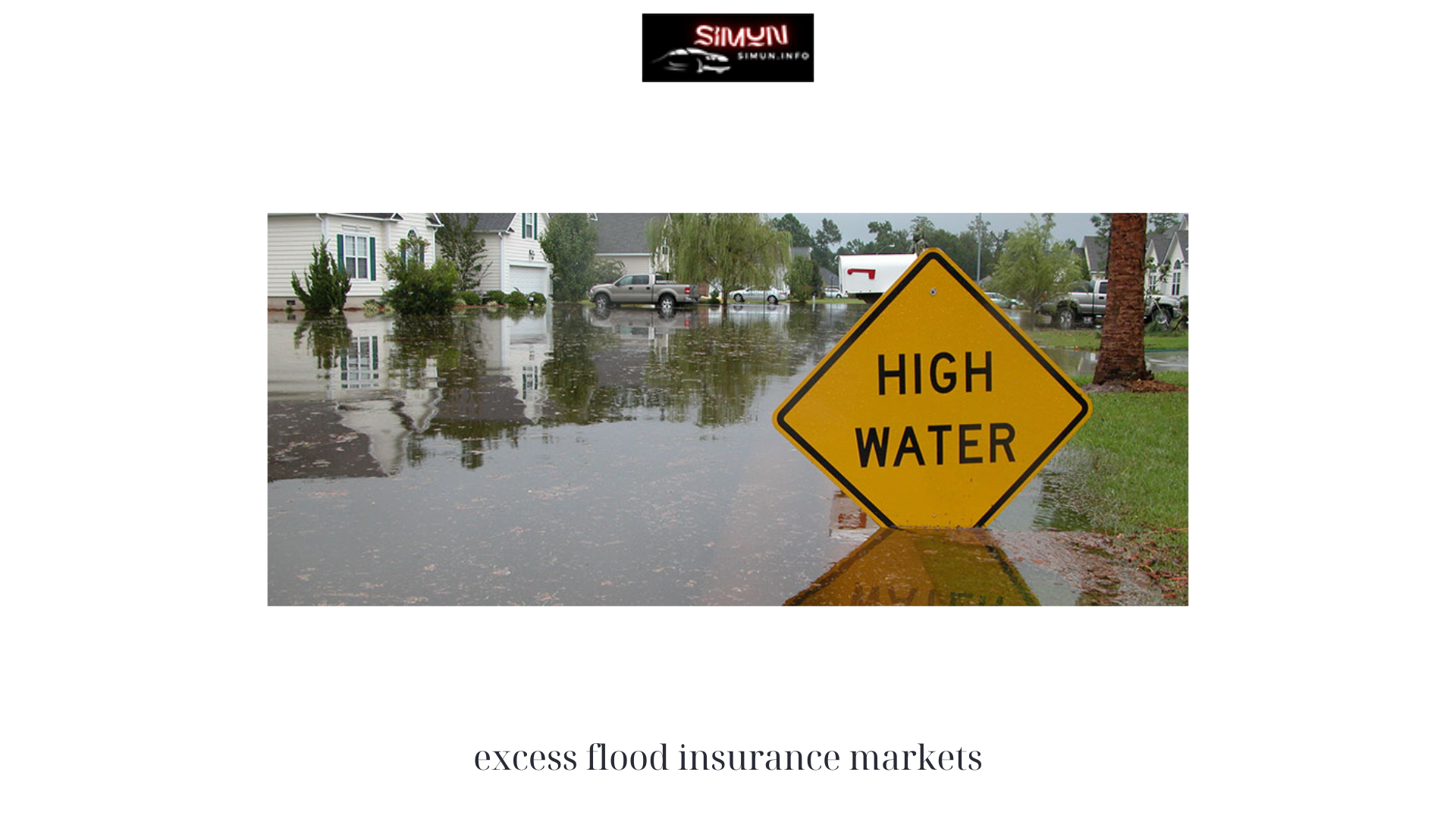 excess flood insurance markets 2