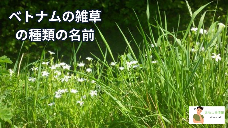 ベトナムの雑草の種類の名前